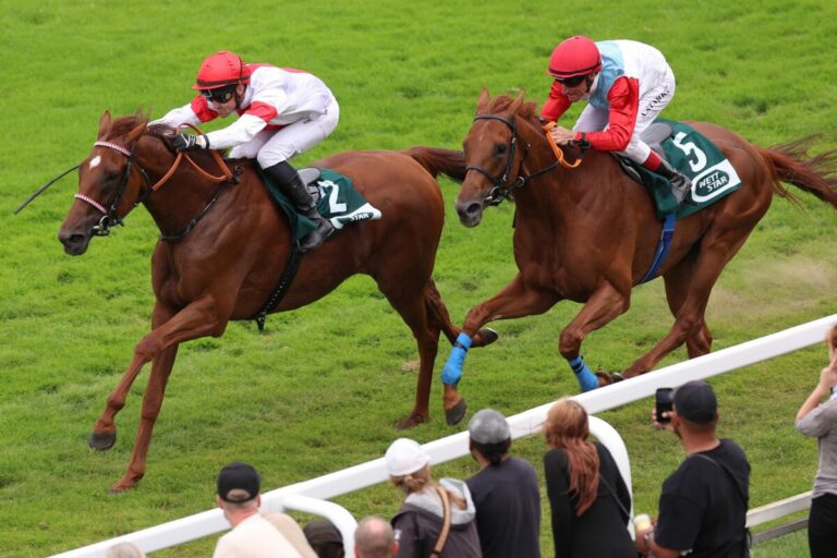 Lordano untermauert seine Stellung – Lockerer Erfolg im Hansa-Preis