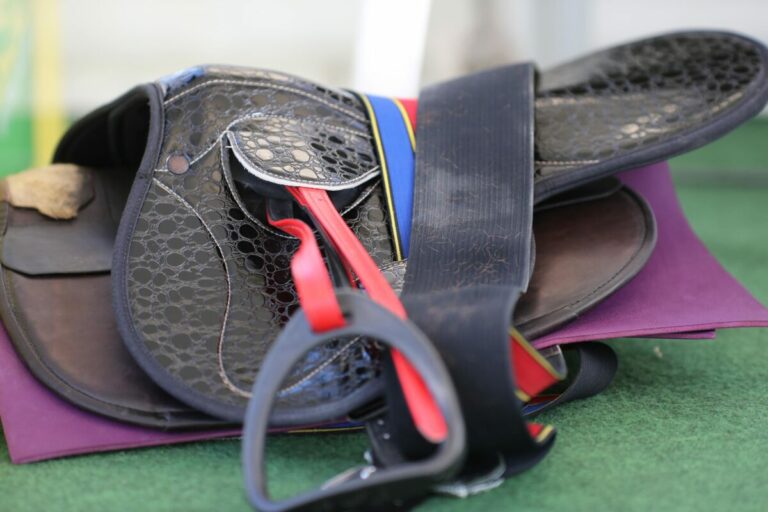 Das sind die Nichtstarter für den 19. November