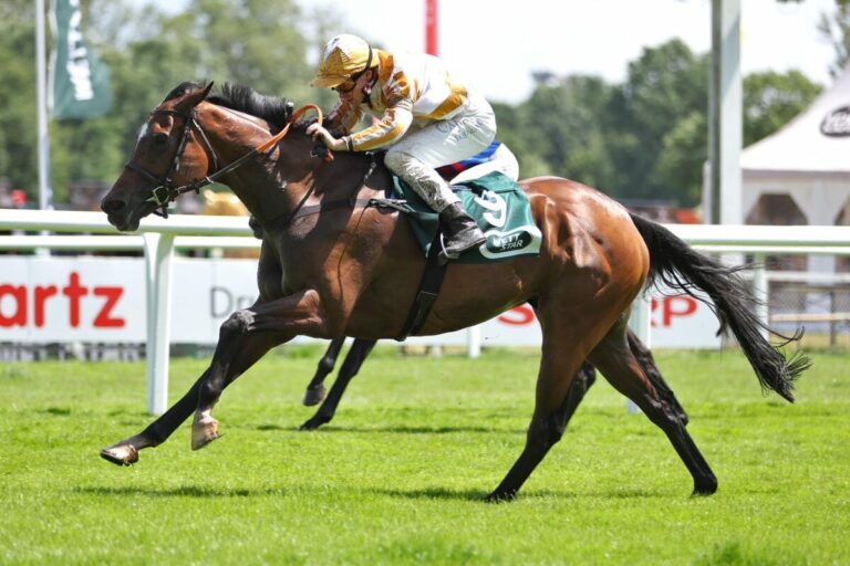 Lady Calcaria gewinnt 1200 Meter Sprint – Sechs Nichtstarter