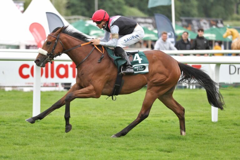 Karlshoferin Lady Sahara imponiert bei den Youngstern