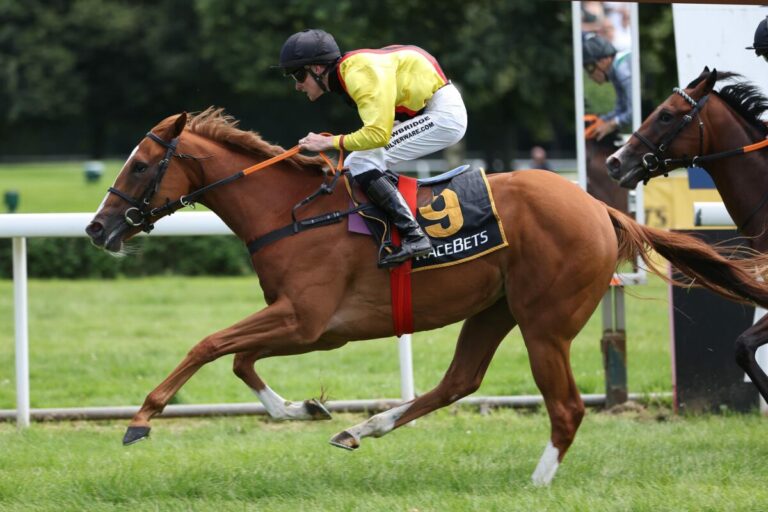 Heimsieg zum Auftakt: Turf Sumy schlägt für Weiß und Auenquelle zu