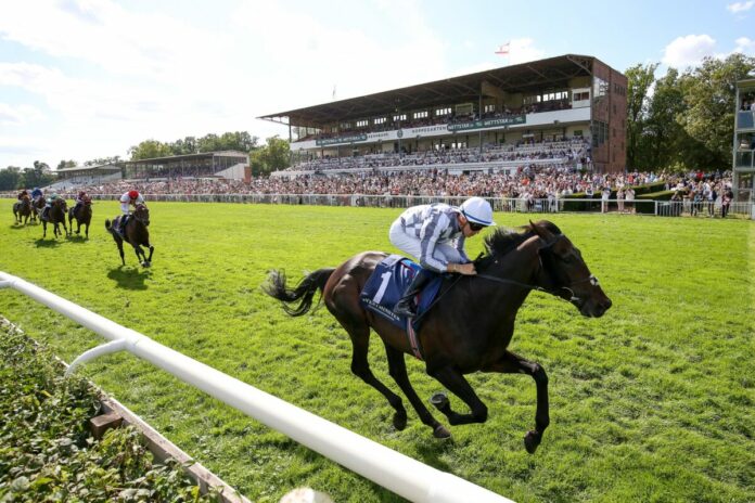 Al Riffa siegt unter Dylan Browne Mc Monagle im Westminster 134. Grosser Preis von Berlin