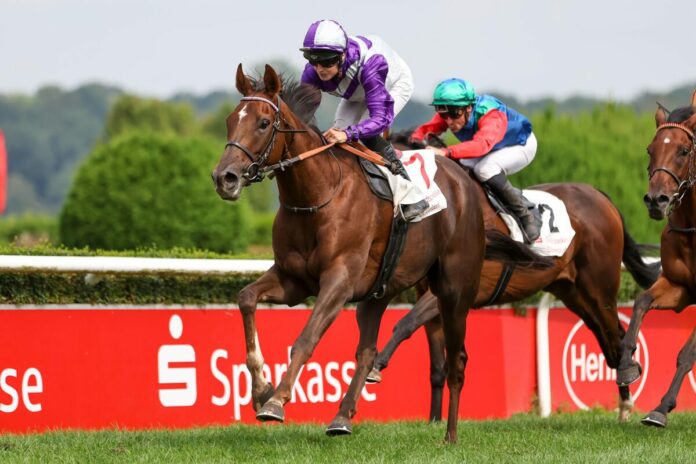 Avola siegt unter Sibylle Vogt