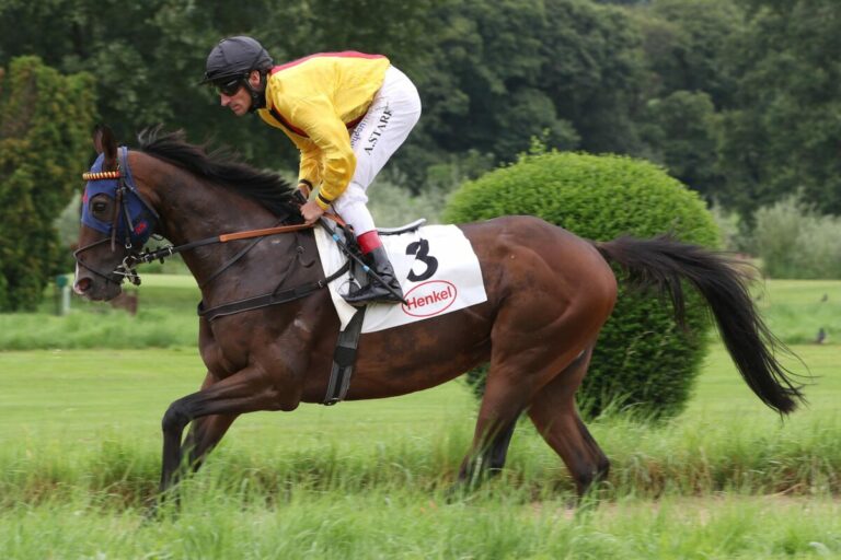 Dapango Dritter in Quinte-Handicap Dapango Dritter in Quinte-Handicap