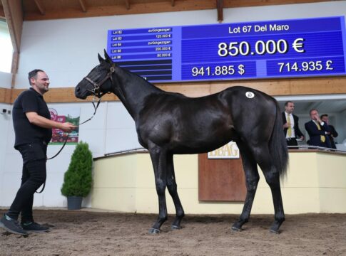 Del Maro bei der BBAG