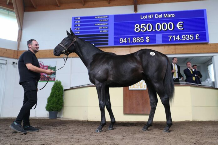 Del Maro bei der BBAG