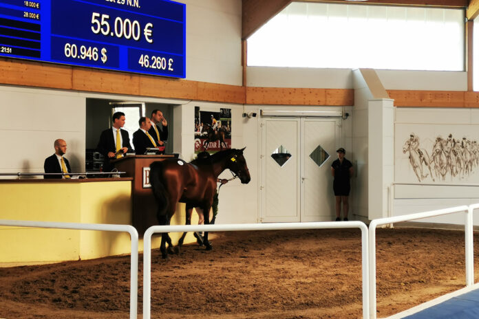 Der Circus Maximus-Sohn aus der Mystic Sunshine