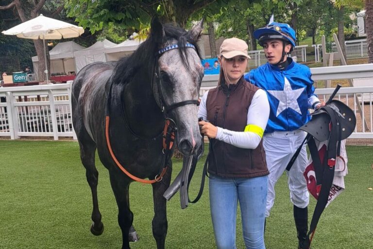 Well Done! – Suborics-Hengst Done Deal bringt bei Arqana 140.000 Euro