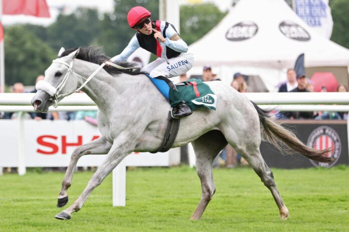 Three Havanas siegt unter Thore Hammer-Hansen in der Sparkasse Holstein Cup