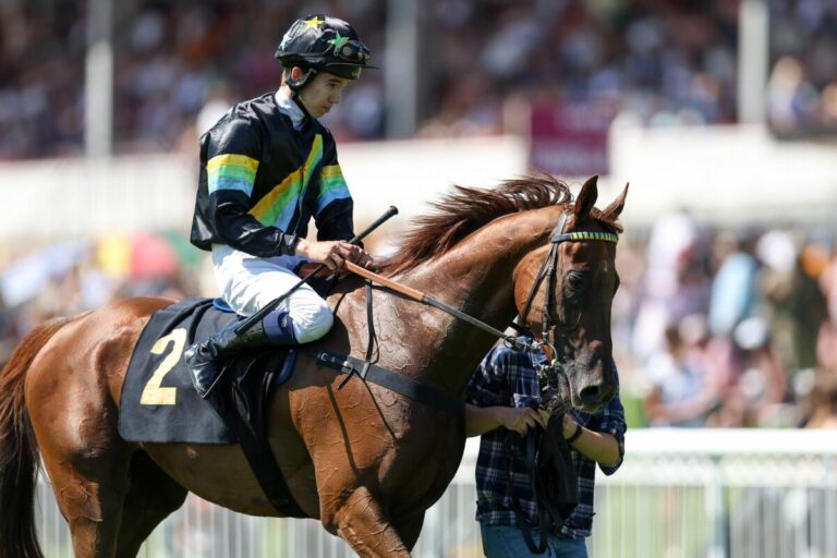 Auch das zweite Rennen bleibt „zu Hause“ – Tamino für Dzubasz