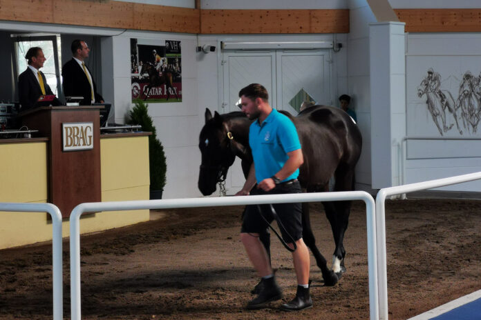 Tailwind im Ring der BBAG