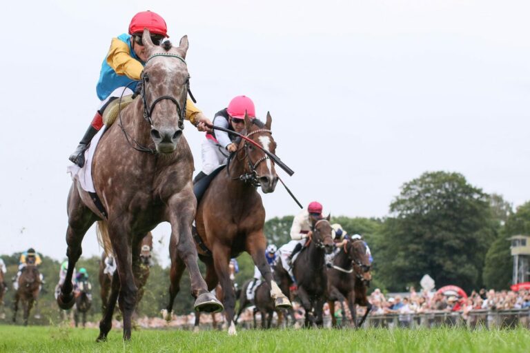 Erle siegt unter Martin Seidl im 166. Henkel-Preis der Diana