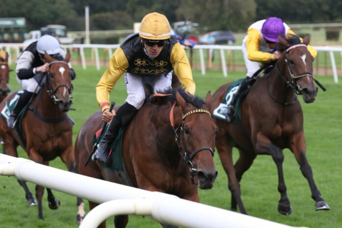 Diamond Crown siegt unter Hugo Boutin