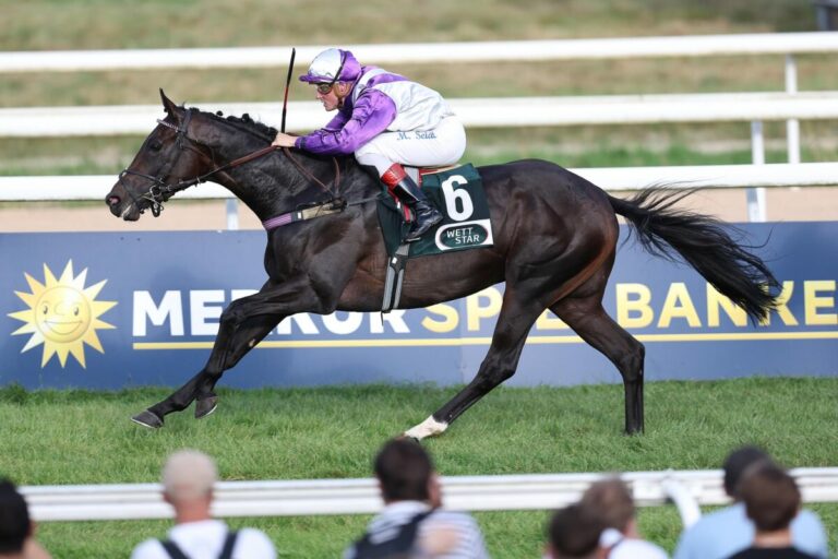 Schwarzer Wolf ist in Mons erneut für Recke siegreich