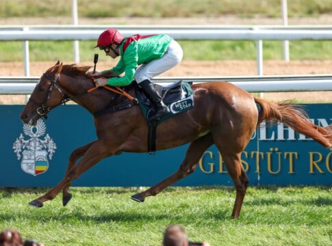 Goldaue siegt unter Rene Piechulek im Dinger's Gartencenter Köln - Winterkönigin Trial, Listenrennen