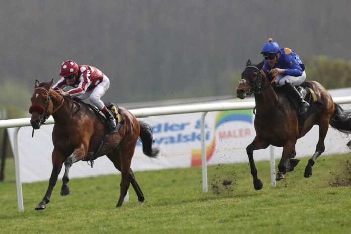 Mr Hollywood siegt unter Andrasch Starke im Preis von Dahlwitz gegen Fantastic Moon