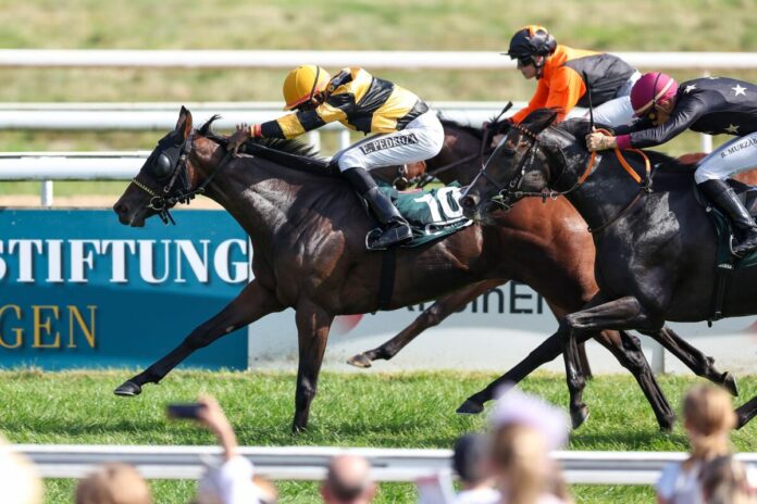 Salve's Secret siegt unter Eduardo Pedroza