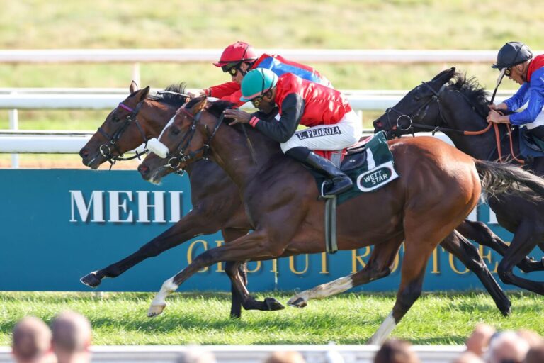 Das Kölner 2400 Meter-Sieger-Rennen als Derby-Test: 10 Nennungen