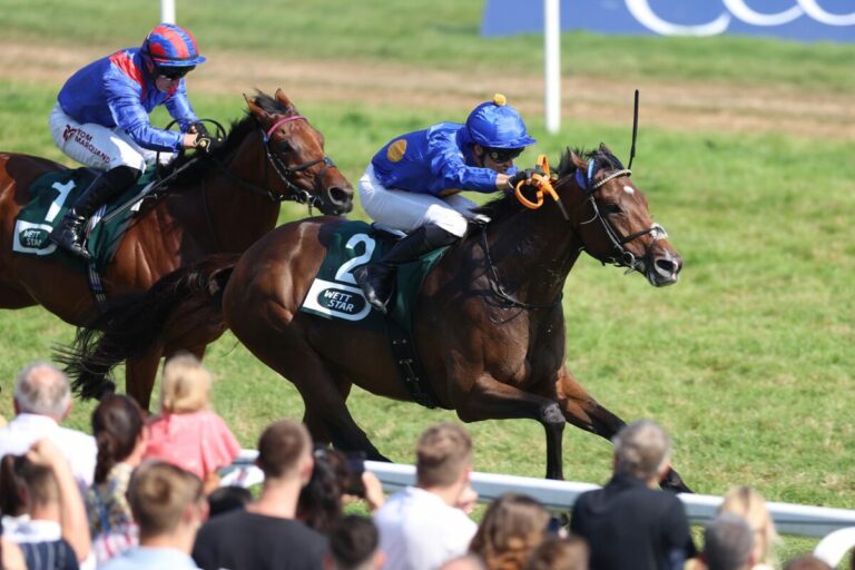 Die Startboxen im Japan Cup: Goliath aus der 1, Fantastic Moon aus der 13 Die Startboxen im Japan Cup: Goliath aus der 1, Fantastic Moon aus der 13