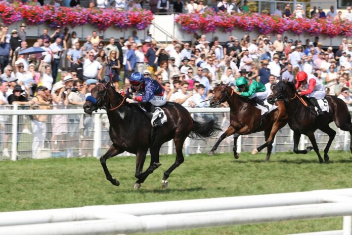 Penalty bei seinem Sieg im Brunner Oettingen-Rennen 2024