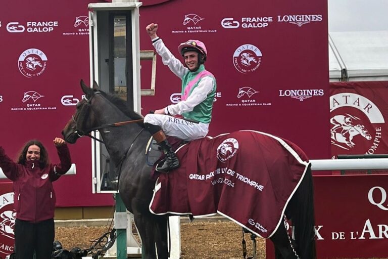 Bluestocking-Verwandte im Angebot der Tattersalls February Sale
