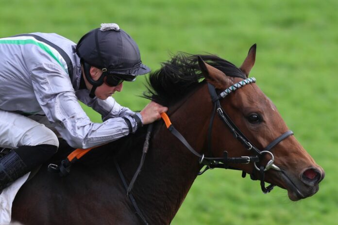 Nicoreni siegt unter Sibylle Vogt im Carla Kellner Zukunftsrennen - Preis der Winterkönigin