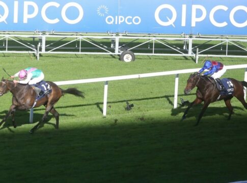 Juddmonte setzt weiter auf Kalpana - Stute bleibt in Training