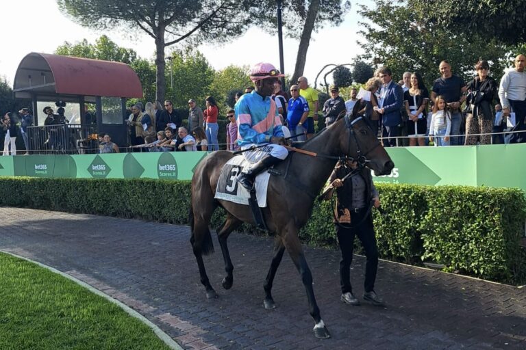 Botti-Pferde vorne bei Donamays sechstem Platz