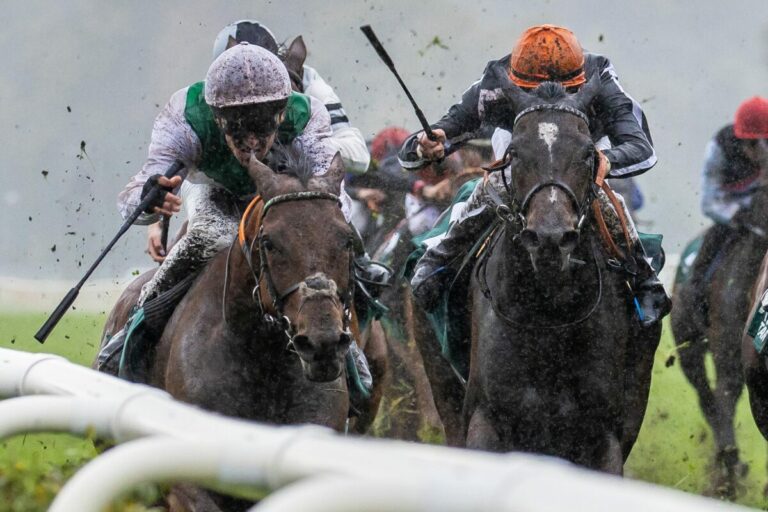 Sport-Welt TV Wett-Check für Hoppegarten am Tag der Deutschen Einheit