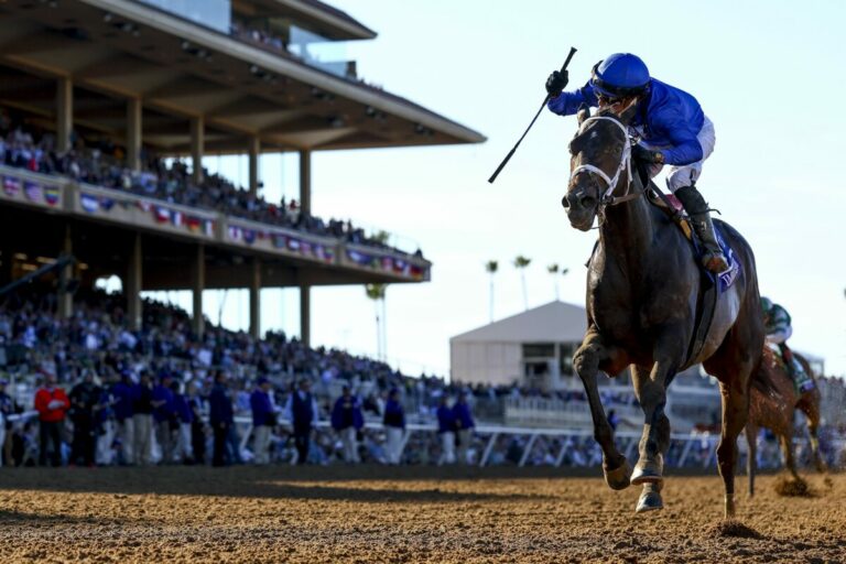 Ungeschlagene Favoritin gewinnt Juvenile Fillies Ungeschlagene Favoritin gewinnt Juvenile Fillies