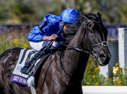 Rebel's Romance (Rich Steele/Eclipse Sportswire/Breeders Cup)