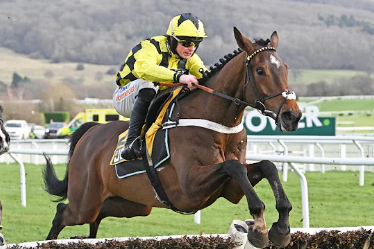 Sir Gino (Foto: Screenshot YouTube-Kanal Racing TV) (Archiv)