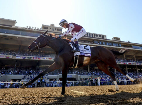 Thorpedo Anna (Foto: Alex Evers/Eclipse Sportswire/Breeders Cup)