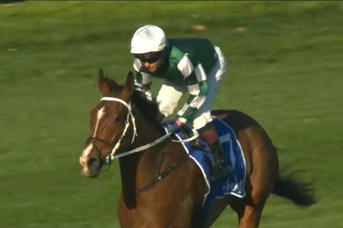 Via Sistina (Archiv) Foto: Screenshot