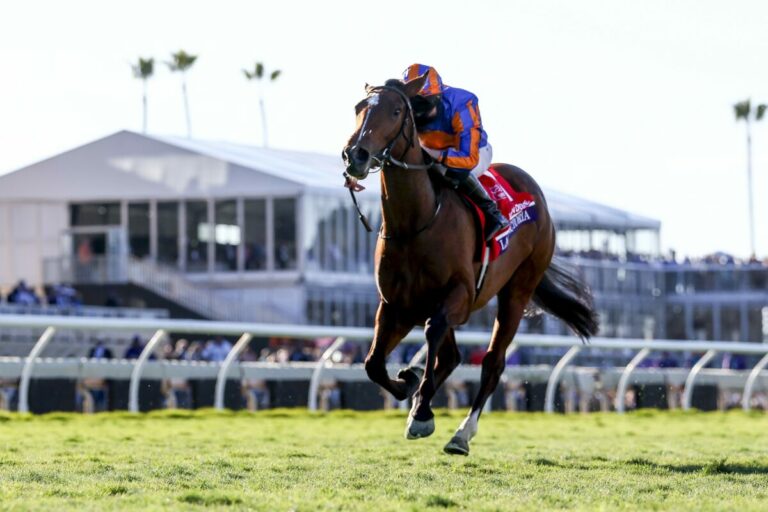 Lake Victoria im Juvenile Fillies Turf eine Klasse für sich Lake Victoria im Juvenile Fillies Turf eine Klasse für sich
