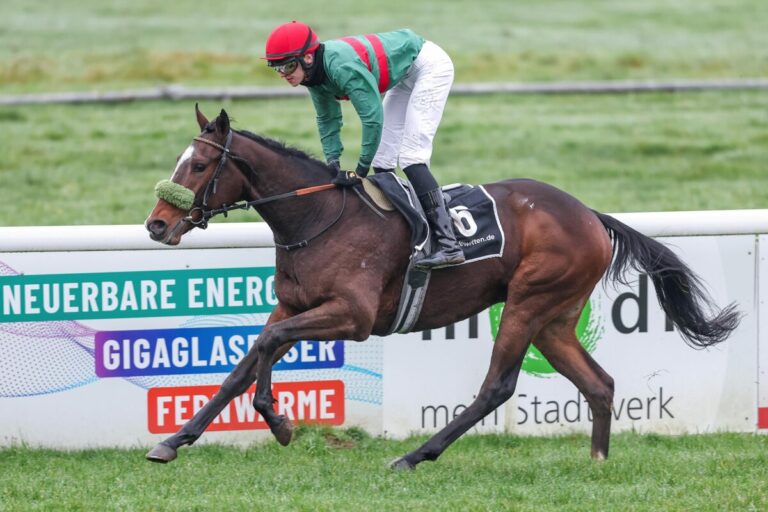 Grewe hat’s gesagt: Namaron ist beim Debüt überlegen