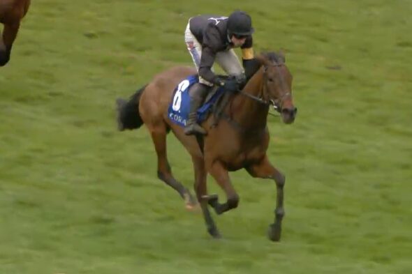 The New Lion beeindruckt für die Skeltons