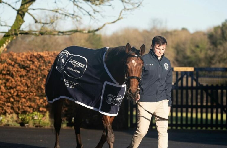 Totes Rennen beim Worlds Best Racehorse 2024, Goliath Vierter