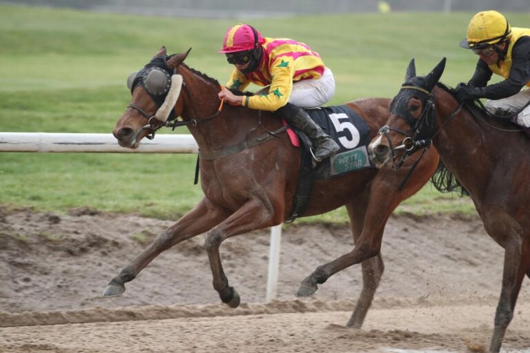 Bleibt Ciyounesse auf der Sandbahn ungeschlagen?