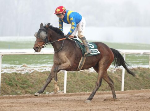 Stay First siegt unter Bayarsaikhan Ganbat