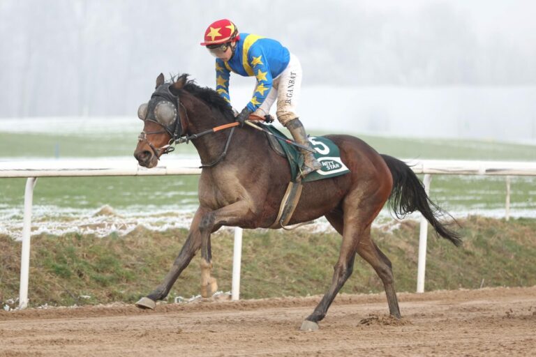 Stay First siegt unter Bayarsaikhan Ganbat