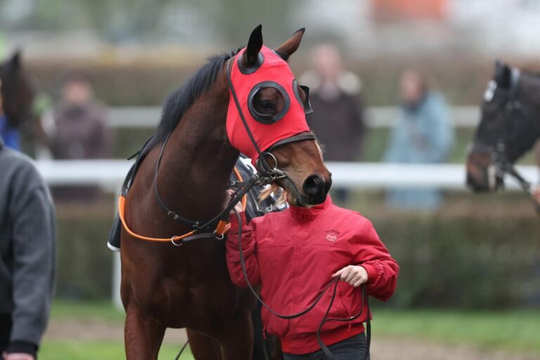 Erster Auslandssieg ist da! Rohnes Duesseldorfer schlägt Grewe-Favoritin