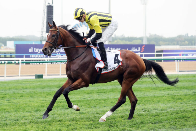Eldar Eldarov wird Deckhengst im Chapel Stud
