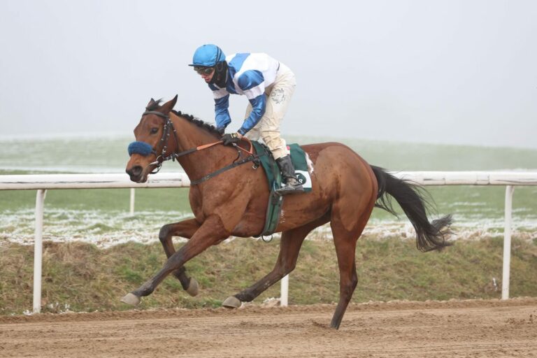 True and Quick siegt im Nebel – Erster Grewe-Sieg in Deutschland