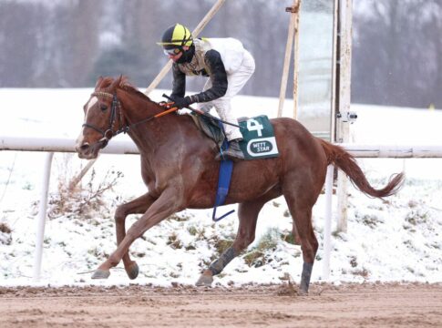 Primo Violetto gewann das erste Rennen 2025