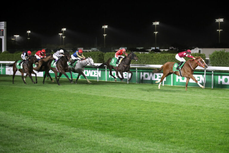 Shin Emperor gewinnt – Straight wird Fünfter und Calif starker Zweiter