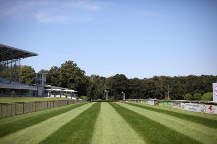 Die Grasbahn in Düsseldorf (Archiv)