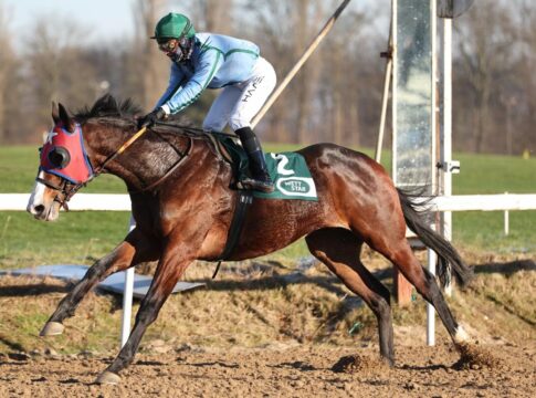 Stern Markka siegt unter Michal Abik