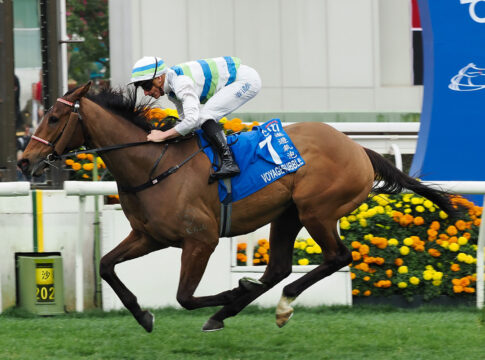 Voyage Bubble Foto: hkjc.com (Archiv)