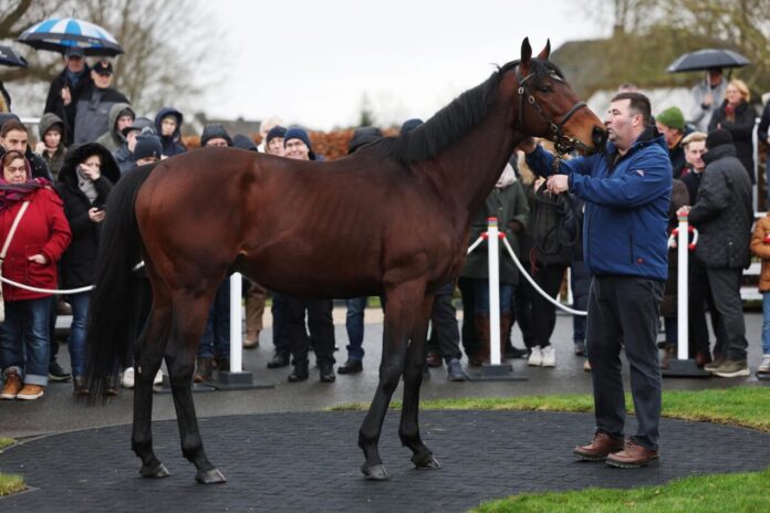 Best of Lips mit Ralf Kredel